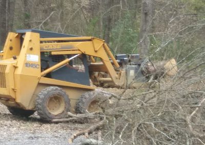 Tree Service in Piedmont, AL